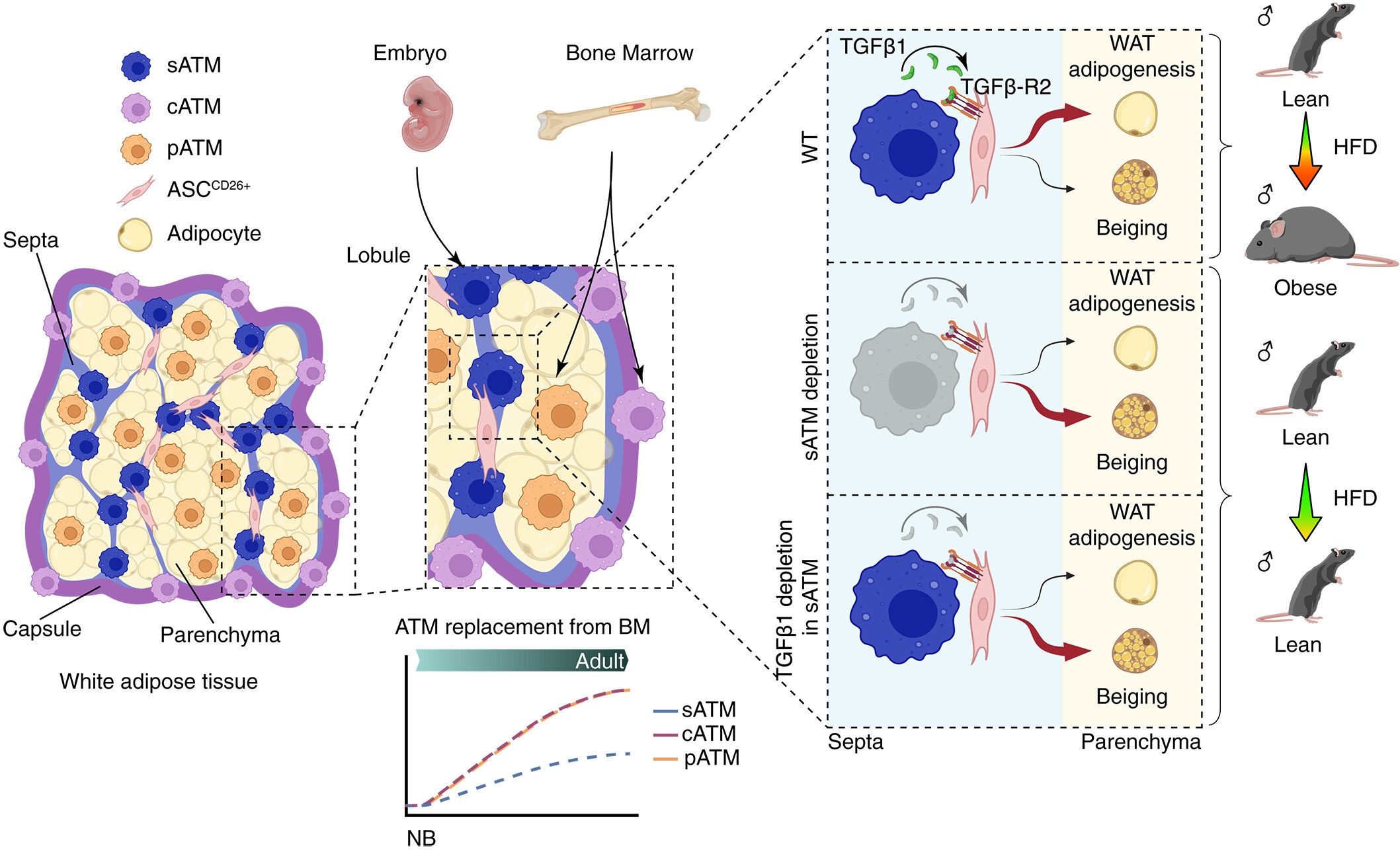 auto_1903.jpg auto_1903.jpg