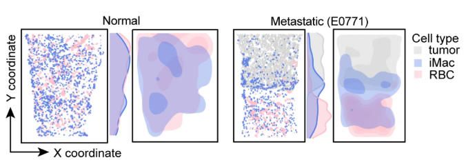 cell-20250903-data1 cell-20250903-data1