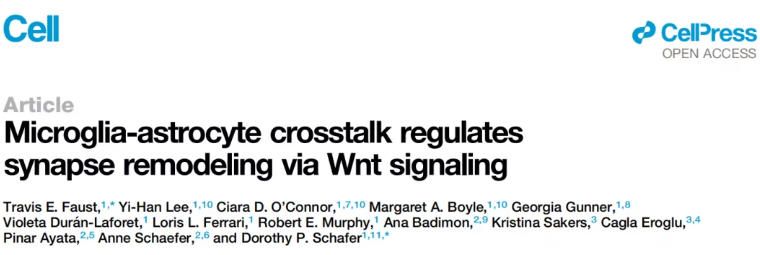 20250915-cell-非清除-paper 20250915-cell-非清除-paper