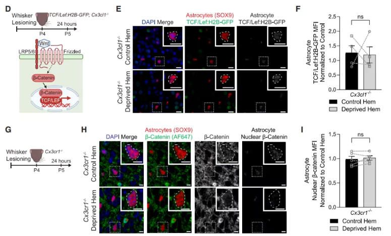 20250915-cell-非清除-data3 20250915-cell-非清除-data3