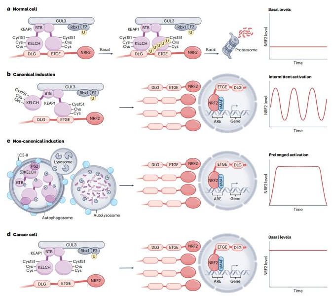 20250910-nature-data 20250910-nature-data